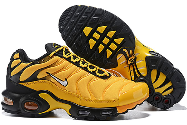 Nike Air Max TN 8909-F1